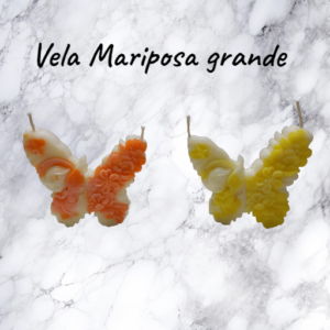mariposa vela grande1