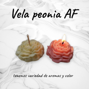 peonia AF