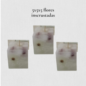 Vela Cubo Botánica con Flores Secas (5x5 cm) – Brezos Aromas