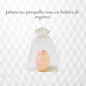 Souvenirs Artesanales: Pimpollo de Tulipán bolsita de organza