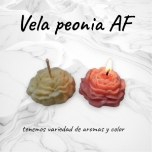 Vela Flor Peonía en Cera de Soja Alta Fusión – Pack de 4 Unidades