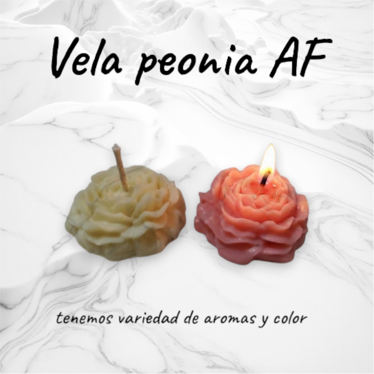 Vela Flor Peonía en Cera de Soja Alta Fusión – Pack de 4 Unidades